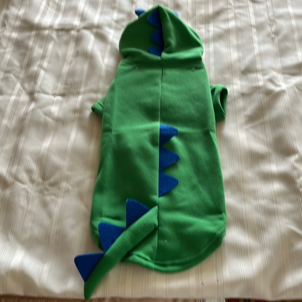 COPY - COPY - Pet Halloween hoodie